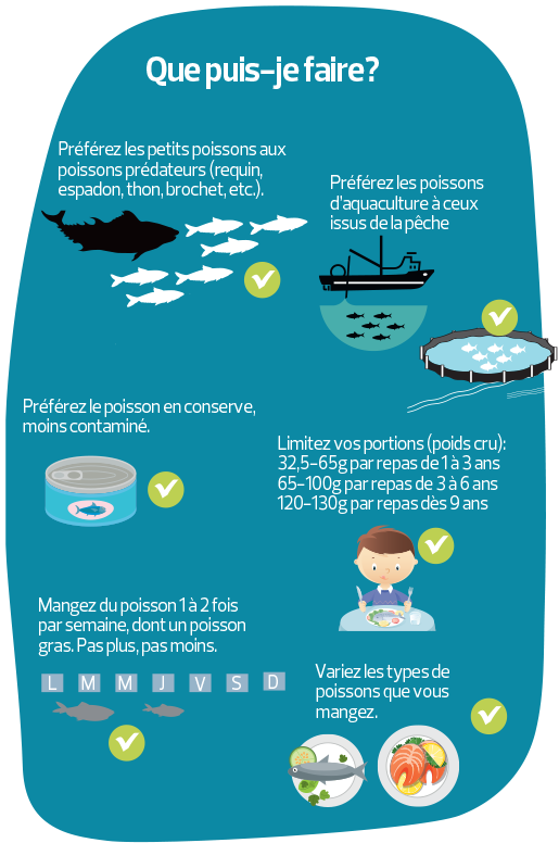 mercure dans le poisson